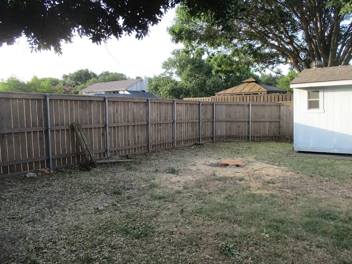 Cleared yard after professional tree removal in Pelham